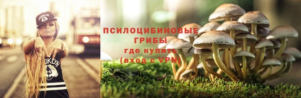 прущая мука Абинск