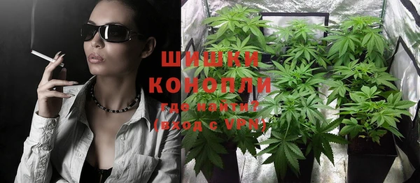 шишки Алзамай