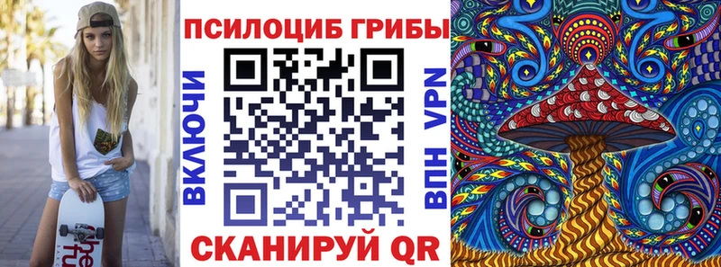 где купить Кизляр Псилоцибиновые грибы Psilocybine cubensis